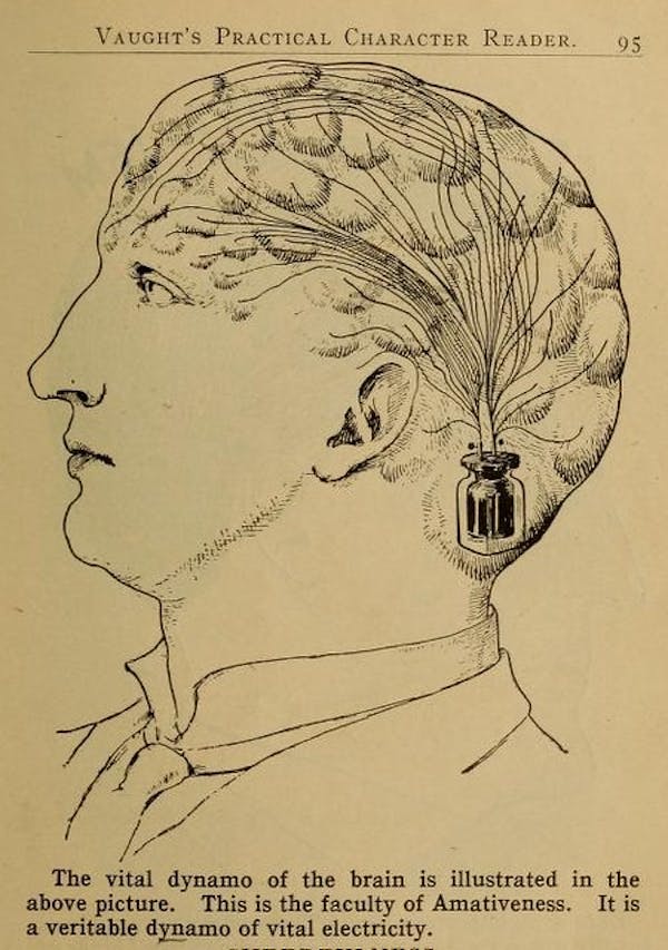 Phrenology Diagram