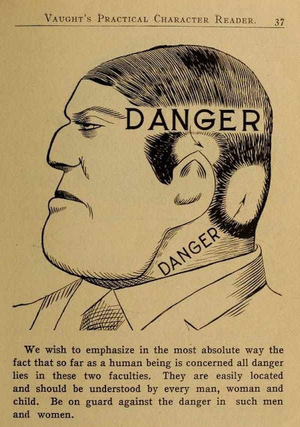 Phrenology Diagram