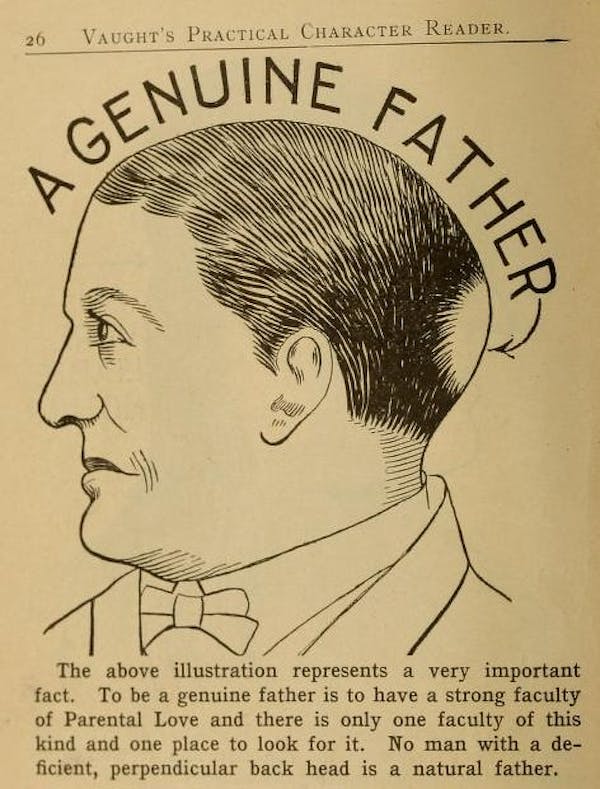 Phrenology Diagram