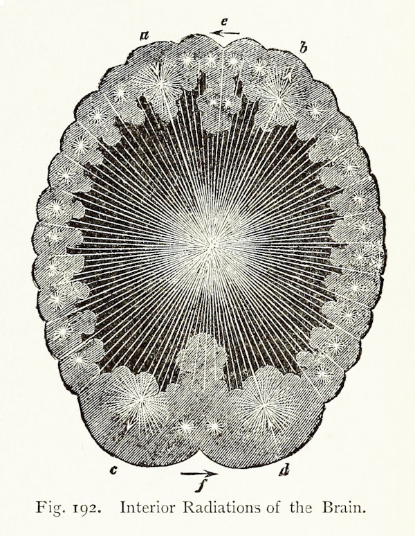 Illustration related to chromotherapy