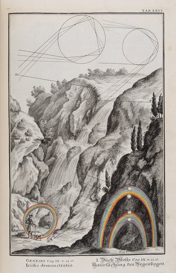 Plate LXVI from Scheuchzer's Physica Sacra (1731).