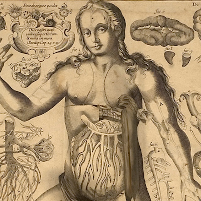 Remmelin's Anatomical ‘Flap’ Book (1667)