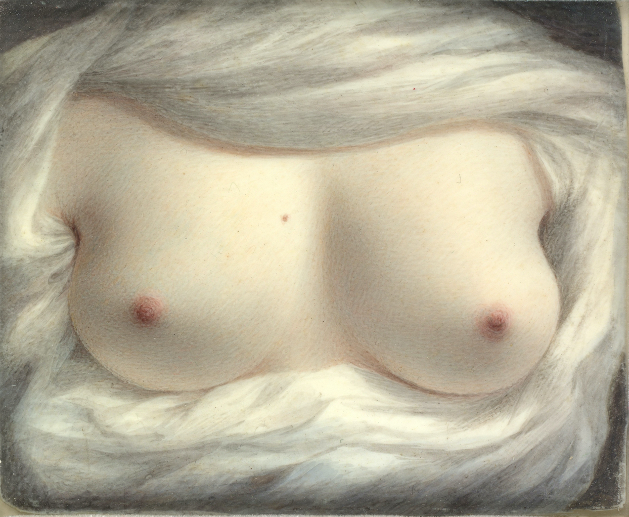 Sarah Goodridge's Beauty Revealed (1828) – The Public Domain Review