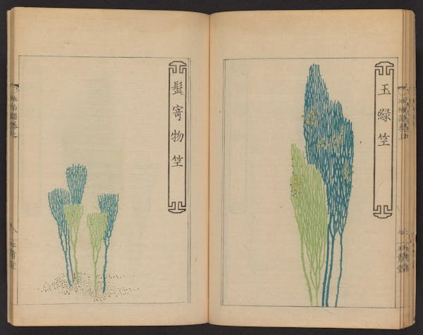 Double page spread showing illustrations from a Japanese book on whisk ferns