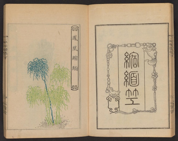Double page spread showing illustrations from a Japanese book on whisk ferns