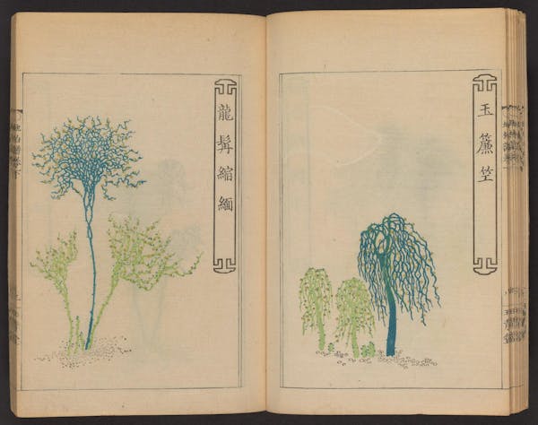 Double page spread showing illustrations from a Japanese book on whisk ferns