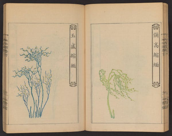 Double page spread showing illustrations from a Japanese book on whisk ferns