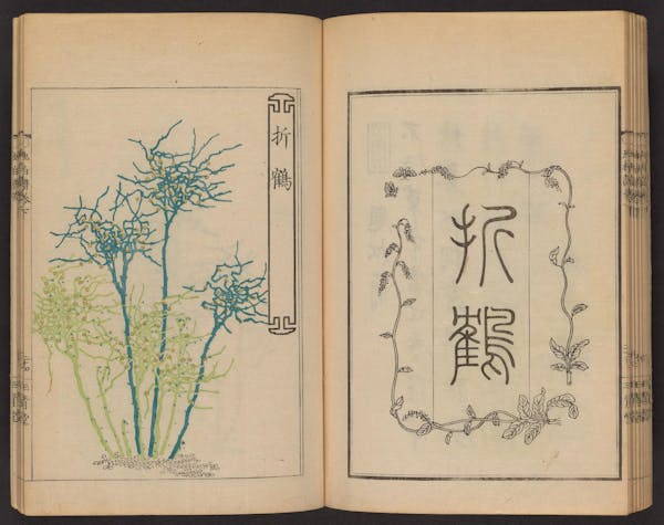 Double page spread showing illustrations from a Japanese book on whisk ferns