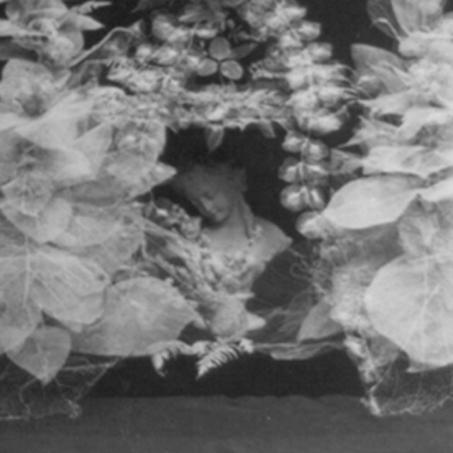 Skeleton Leaves (1873)