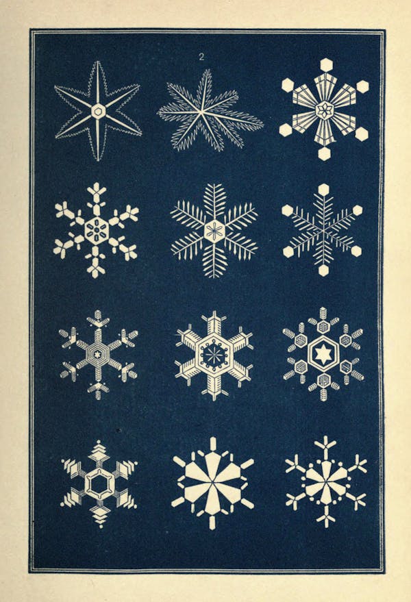 Illustration of snowflakes