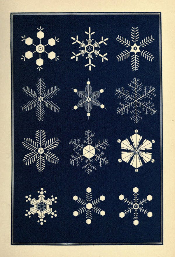 Illustration of snowflakes