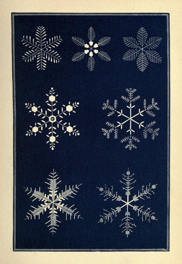 Illustration of snowflakes