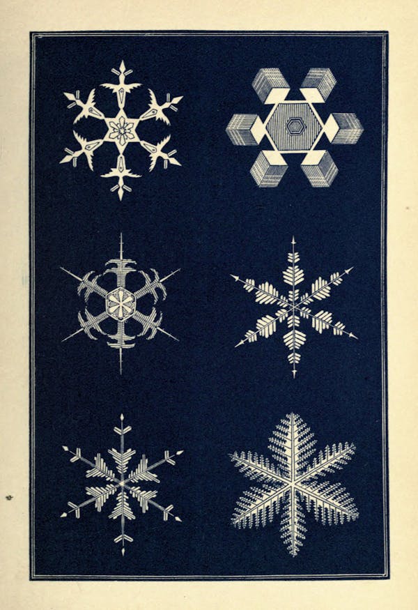 Illustration of snowflakes