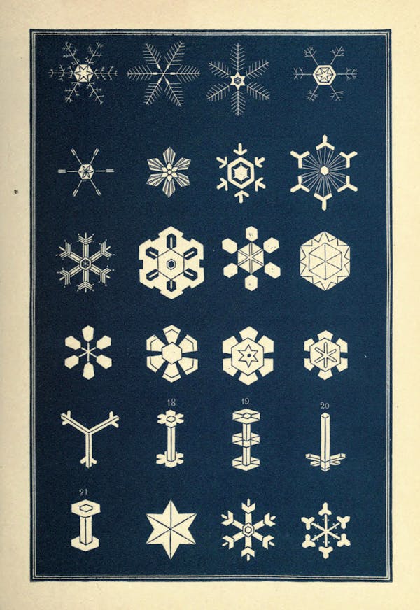 Illustration of snowflakes