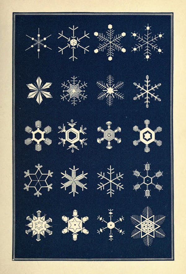 Illustration of snowflakes