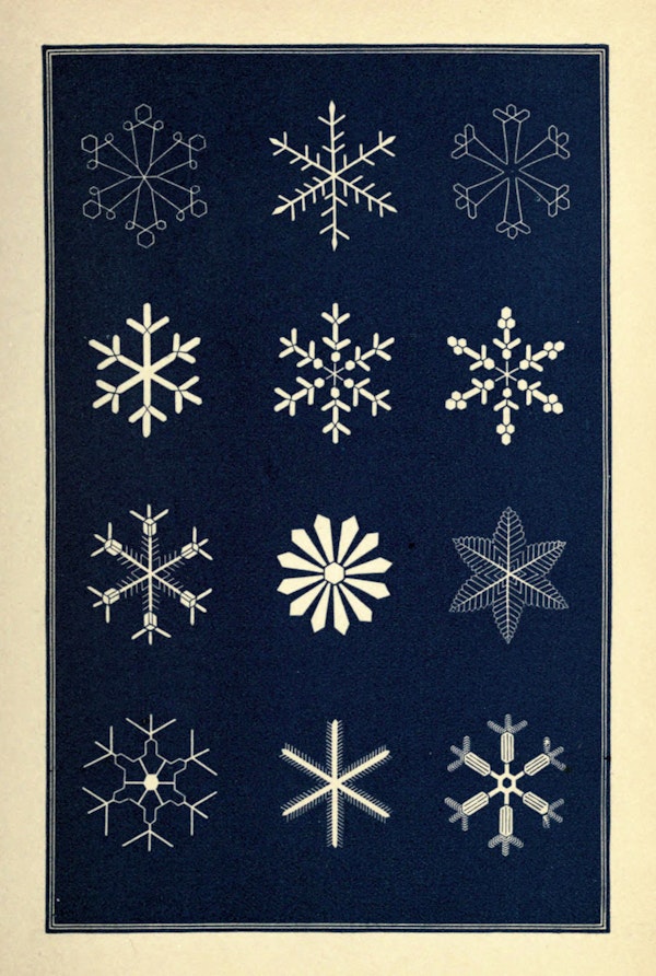 Illustration of snowflakes