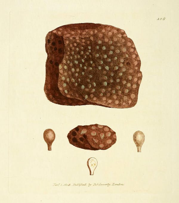 Illustration of minerals by Sowerby