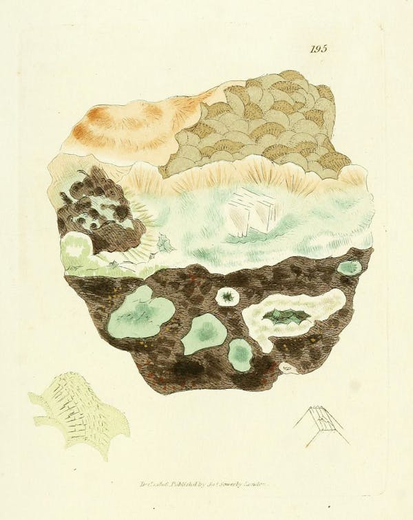 Illustration of minerals by Sowerby