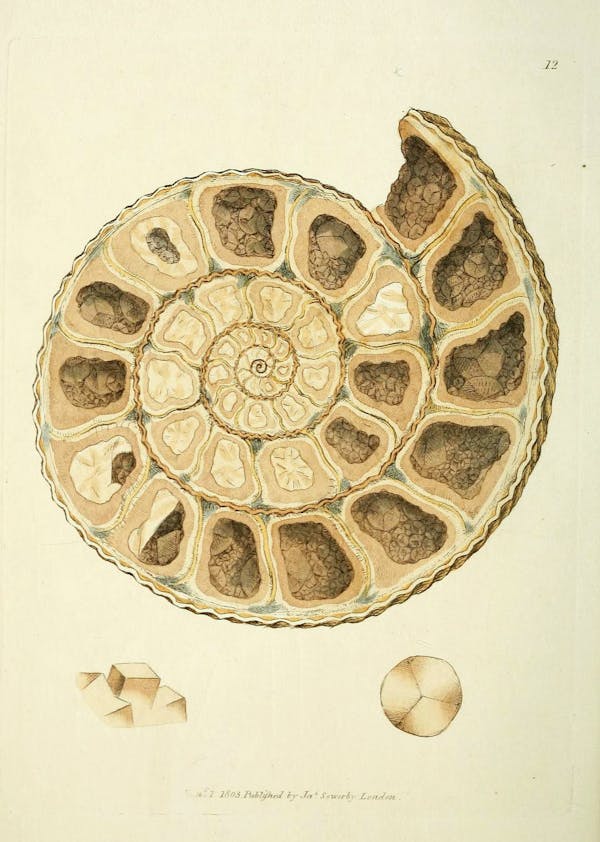 Illustration of minerals by Sowerby