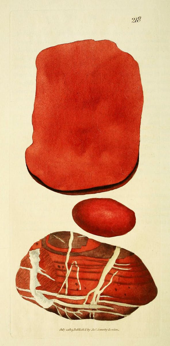 Illustration of minerals by Sowerby