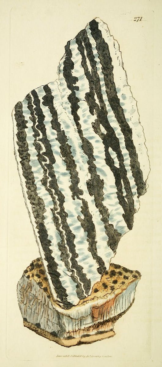 Illustration of minerals by Sowerby