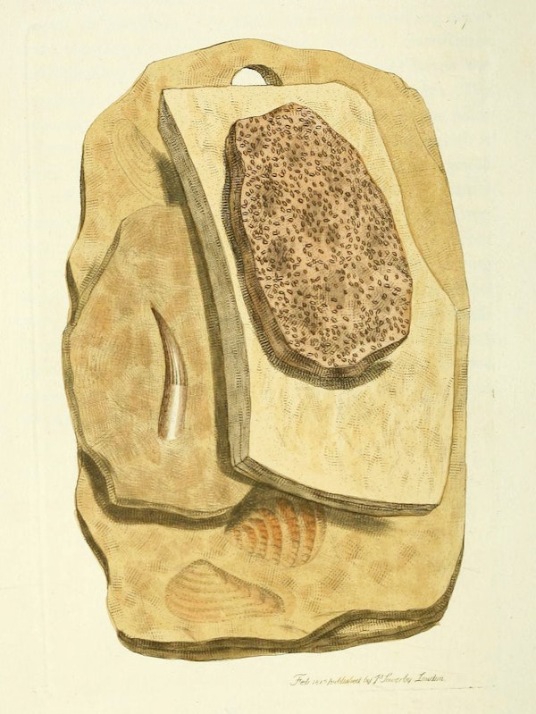 Illustration of minerals by Sowerby