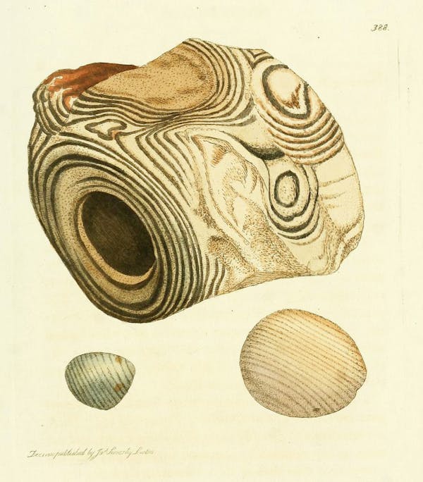 Illustration of minerals by Sowerby