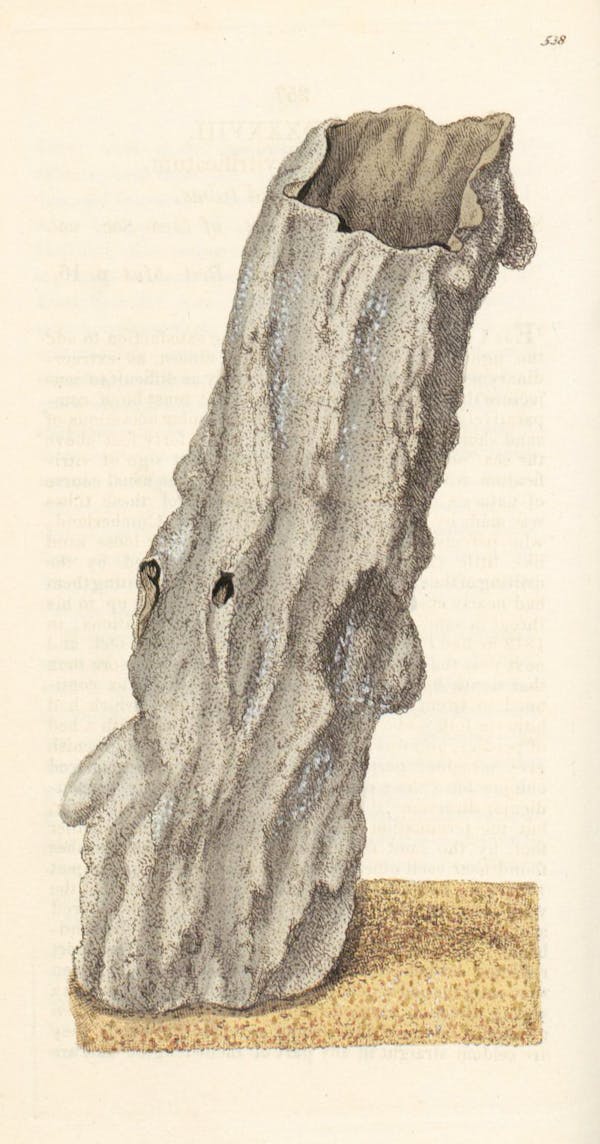 Illustration of minerals by Sowerby