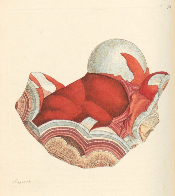 Illustration of minerals by Sowerby