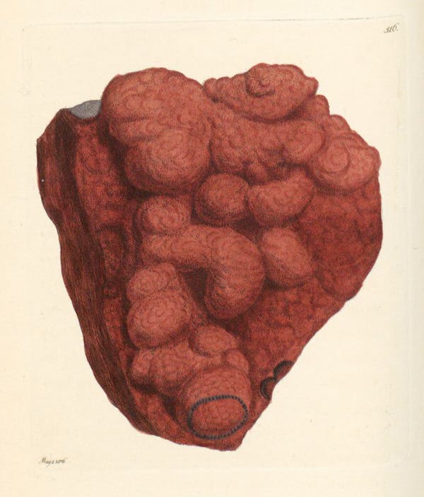 Illustration of minerals by Sowerby