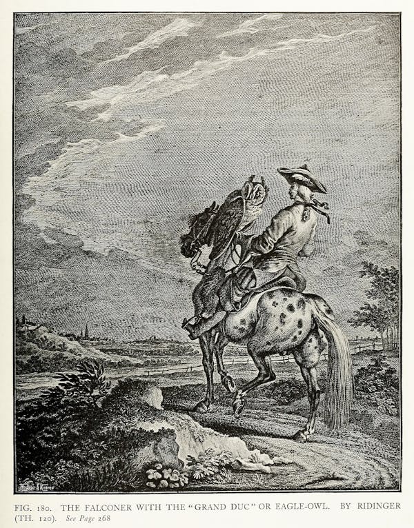 illustration of hunting from Baillie-Grohman's iconography