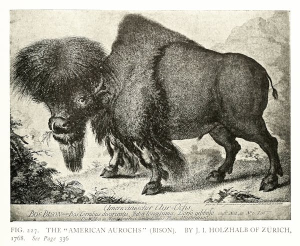 illustration of hunting from Baillie-Grohman's iconography