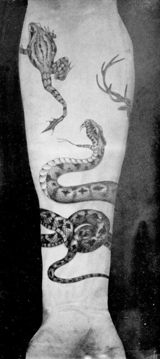 victorian tattoo by sutherland macdonald