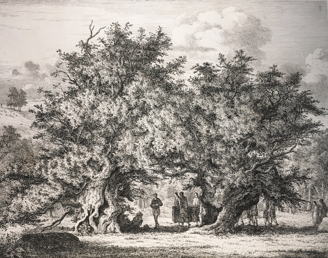 Engraving of the Great Yew