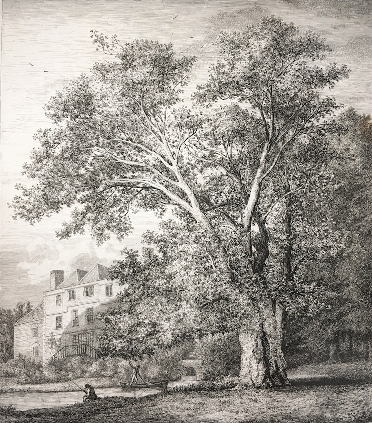 Engraving of the Oriental Plane