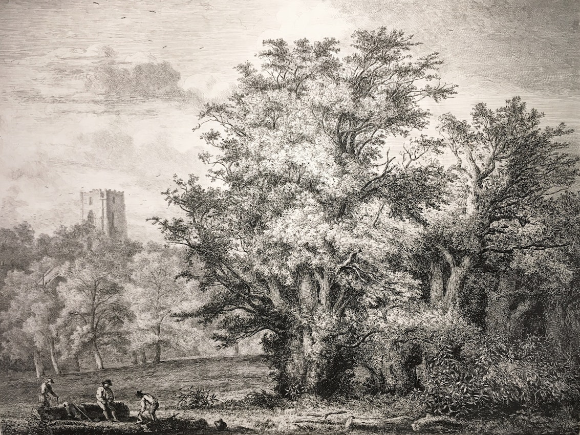 Engraving of the Yew Trees
