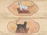 The Cat’s *Maew*: Thai Treatise on Auspicious Felines (19th Century)