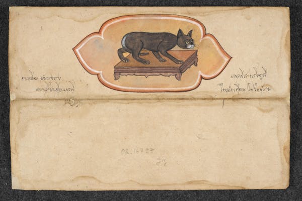 Manuscript illustration of cat