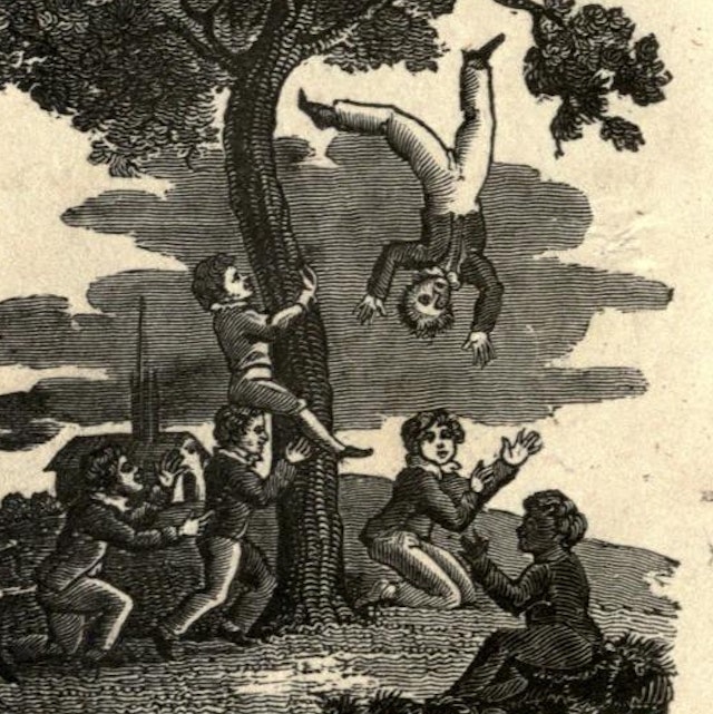 The Accidents of Youth (1819)