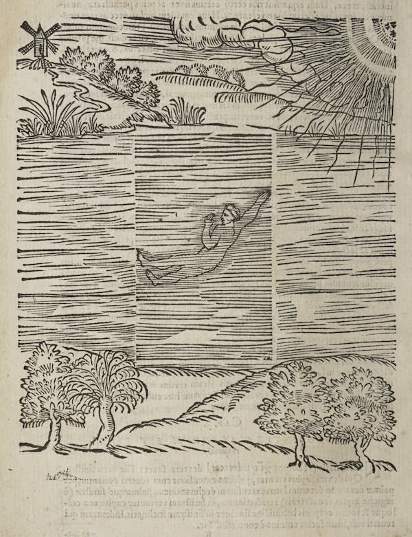 Woodcut of swimming figures