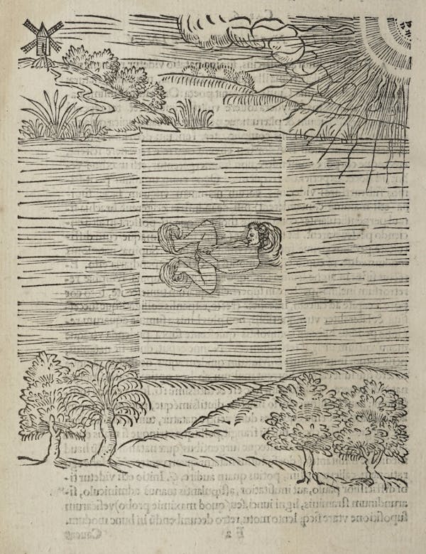 Woodcut of swimming figures