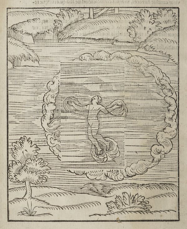 Woodcut of swimming figures