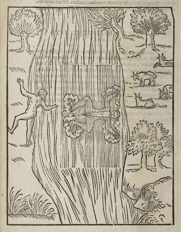 Woodcut of swimming figures