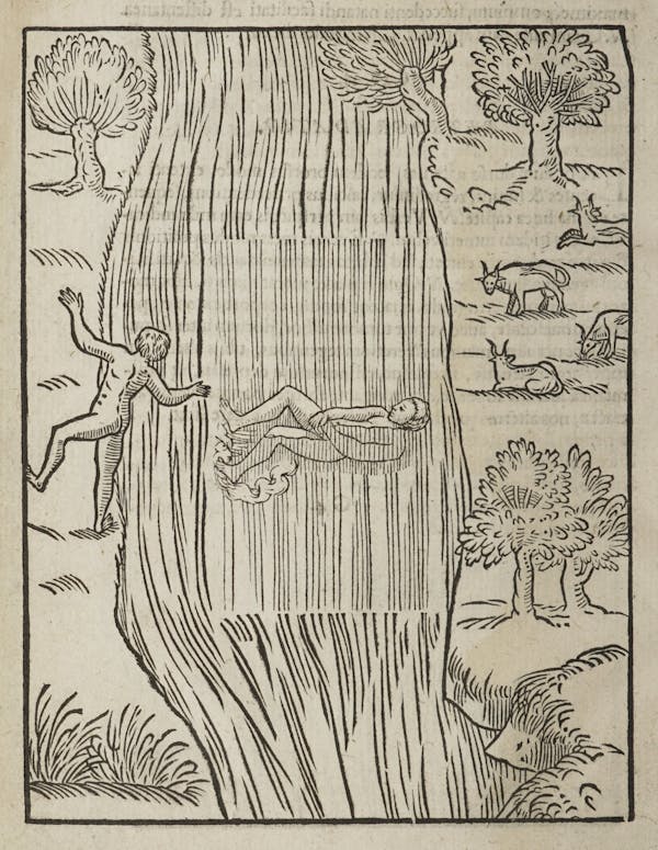 Woodcut of swimming figures