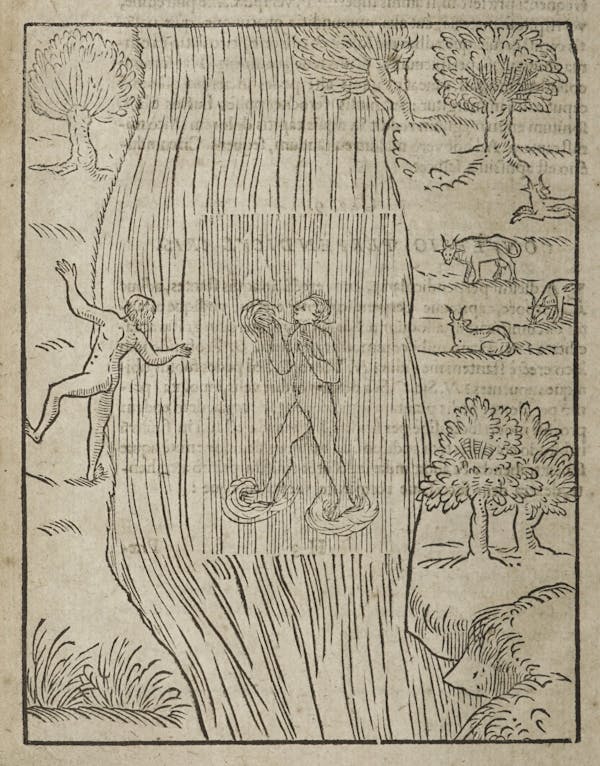 Woodcut of swimming figures