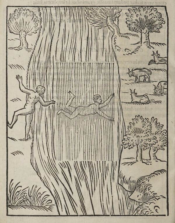 Woodcut of swimming figures