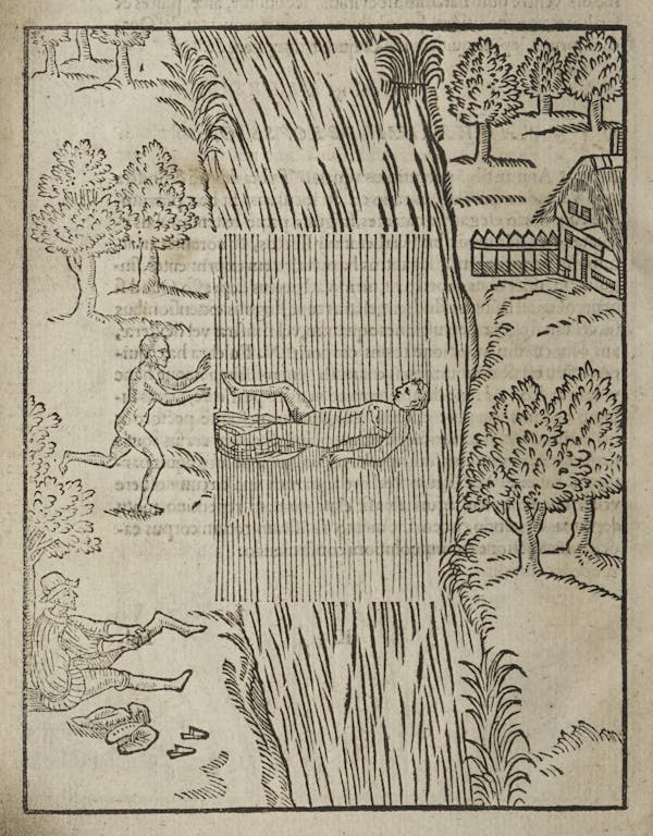 Woodcut of swimming figures