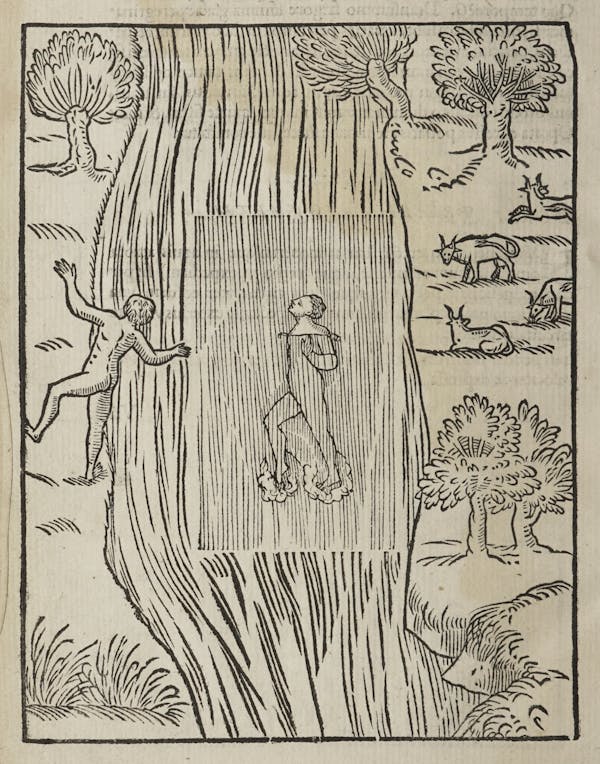 Woodcut of swimming figures