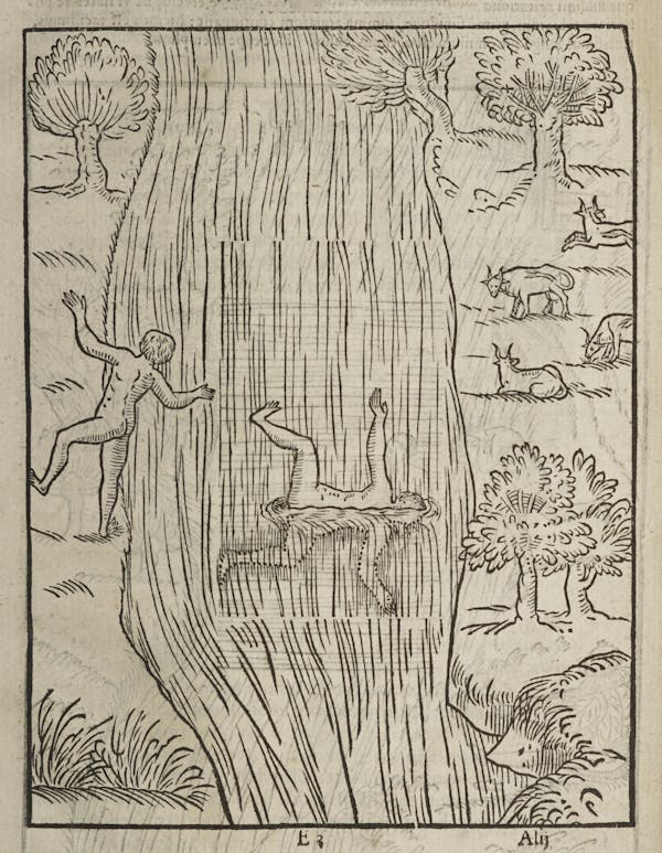 Woodcut of swimming figures