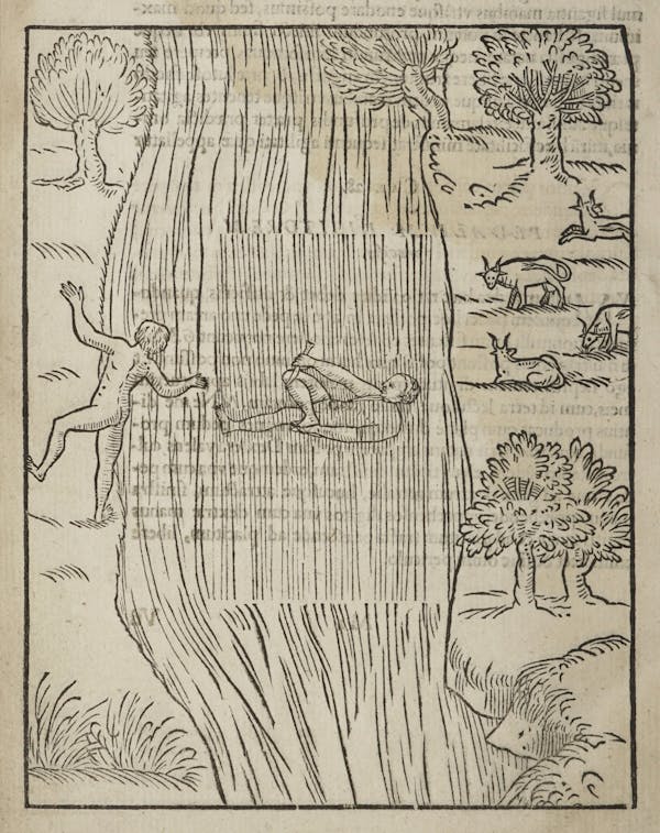 Woodcut of swimming figures